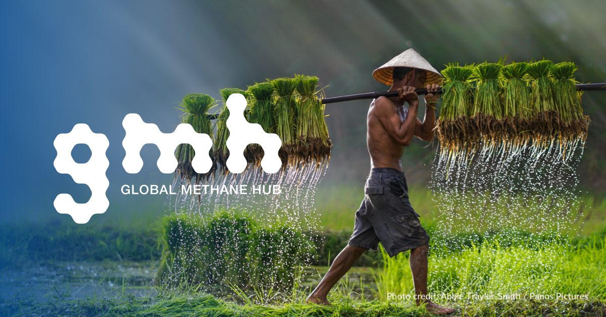 Major Livestock Producing Countries Commit to Mitigate Methane in Agriculture - Global Methane Hub